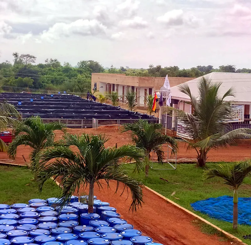 Palm-lined grounds and fish tanks at Best Anchor Farm