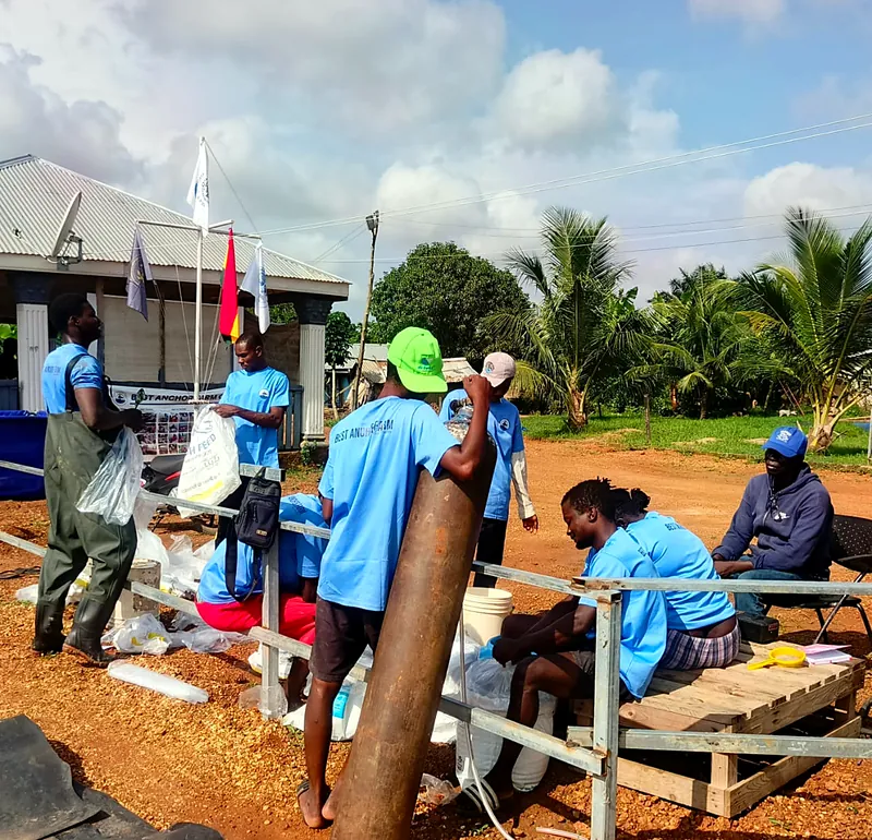 Harvest crew at work with oxygen for live transport