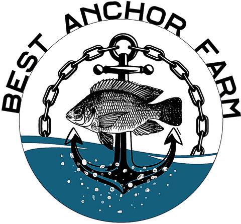 Best Anchor Farm logo