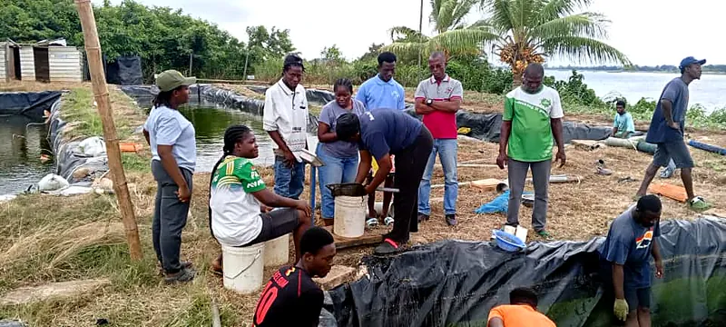 Trainees gathered around fish tanks during a practical session